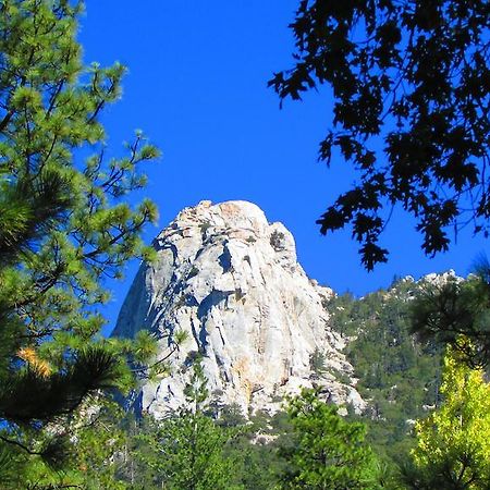 Always Inn Idyllwild Vacation Cottages Kültér fotó